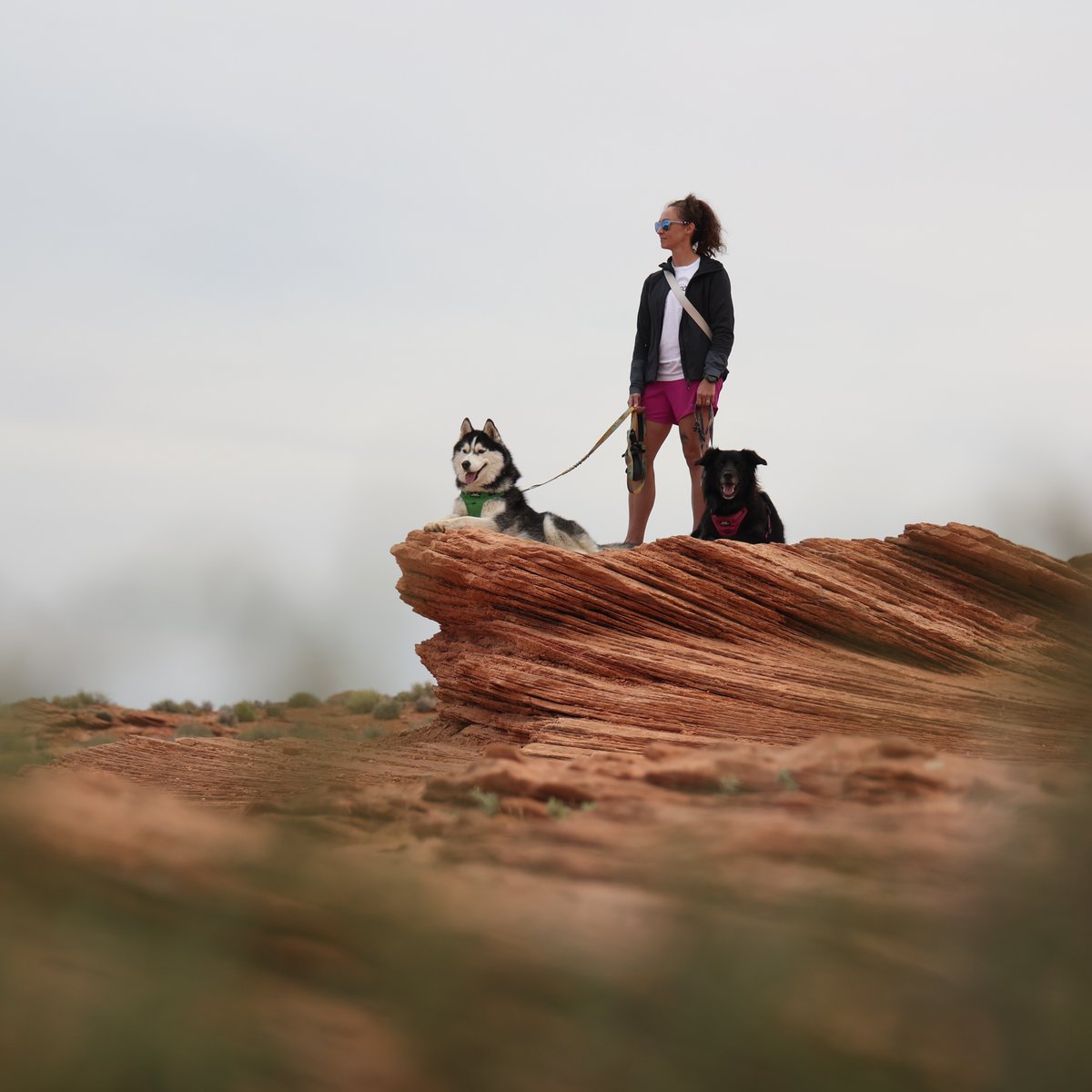 Jenny Quilty on a desert ridge with her dogs Arya and Maverick
