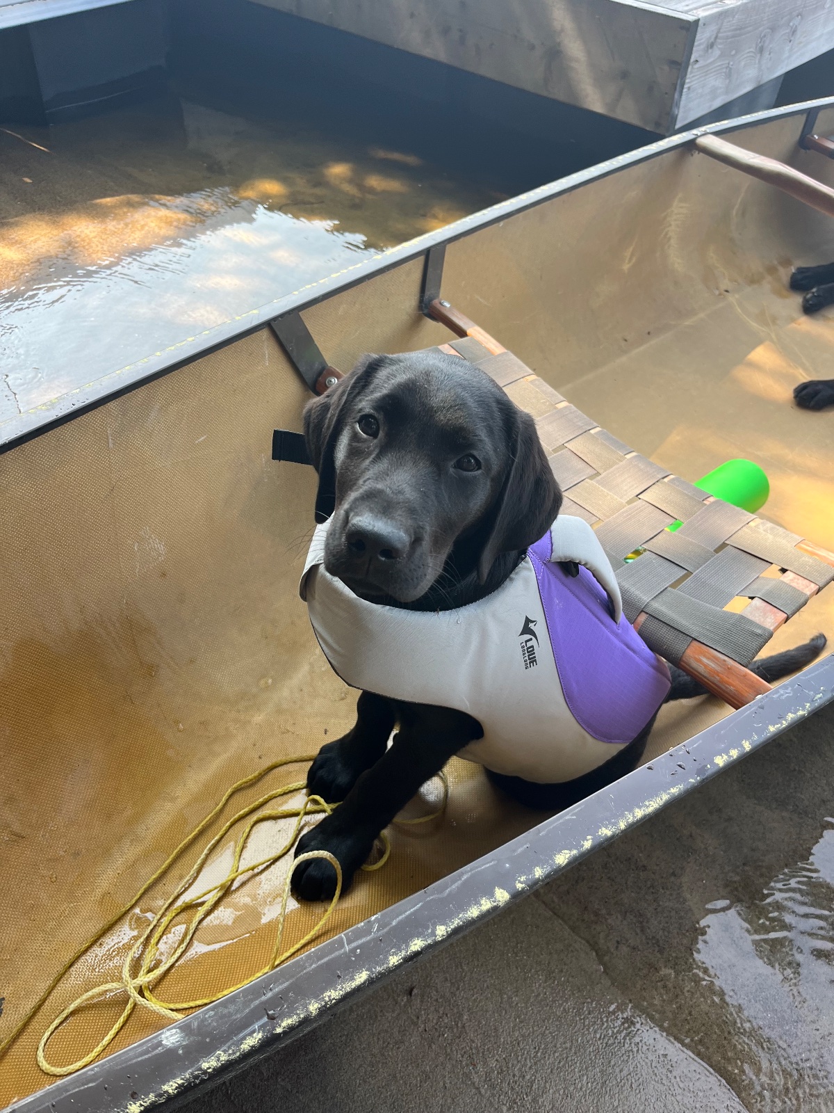 Jet